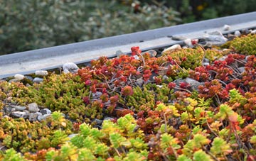 the cost of Talwrn green roof installation