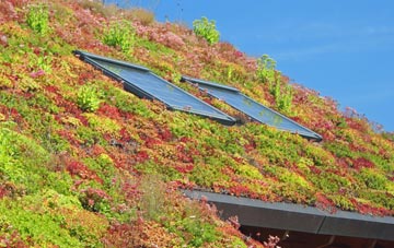 Talwrn living roof systems