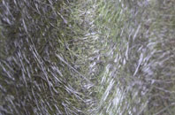 Talwrn fibreglass roof work